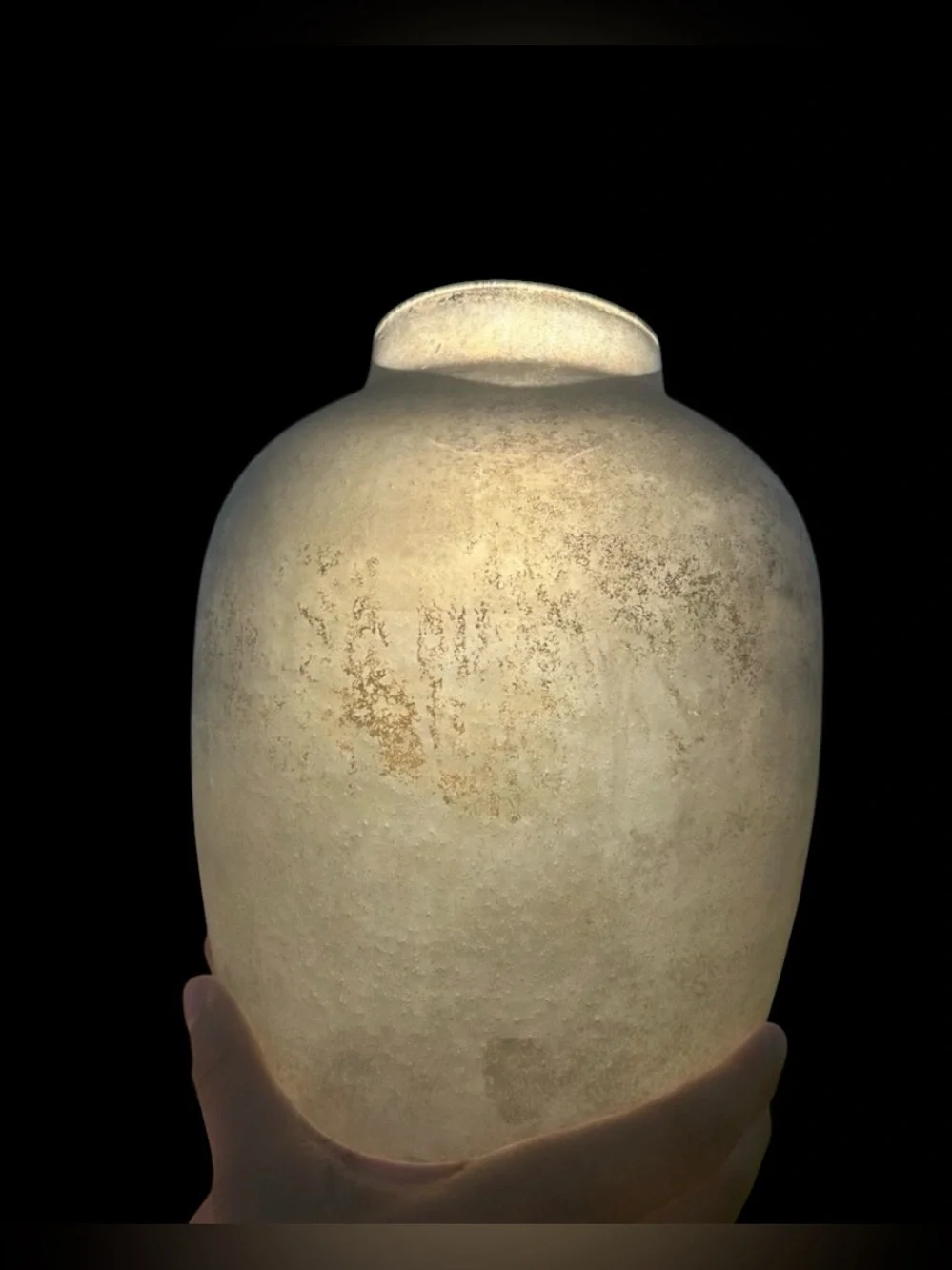 Anthropologie Frosted Glass Vase with Gold Accents - Large